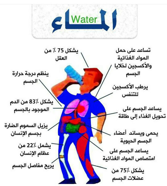 فوائد الماء , الماء له فوائد عديده