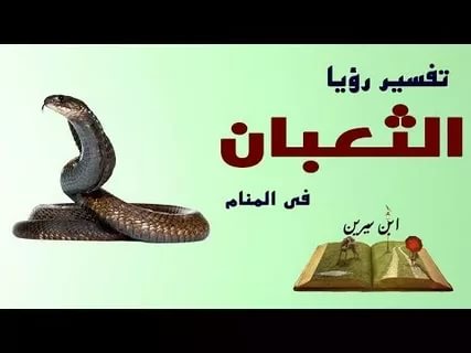 رؤية الثعبان في المنام - حكم تفسير رؤية الثعبان في المنام 2252 1