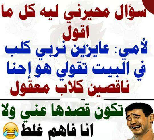 صور نكت مضحكة - نكت فكاهية تجعلك تنسي هموم الحياة 714 1