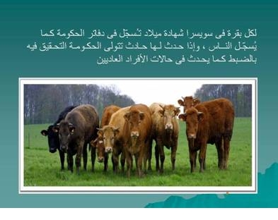 معلومات عن الحيوانات - الاليفة والمفترس منها 977 3