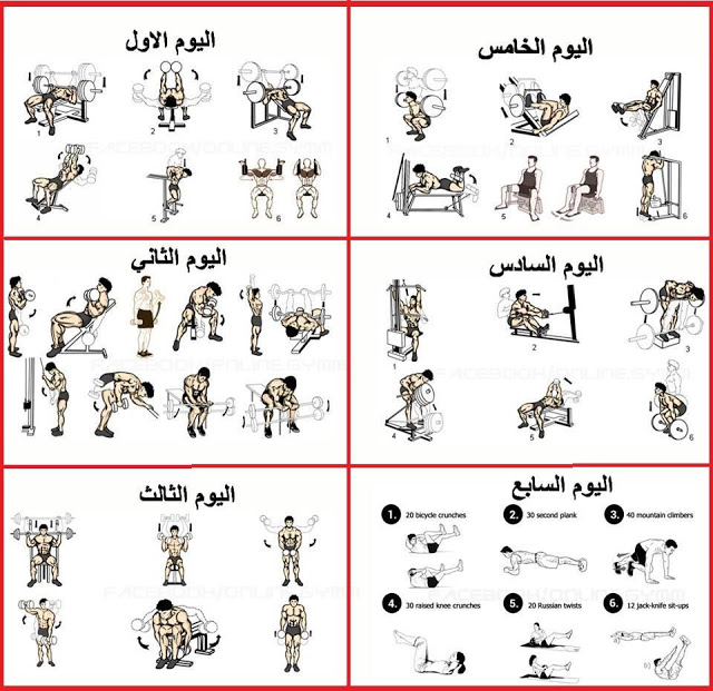 تمارين كمال اجسام - تعرف على مجموعة تمارين كمال الاجسام للمبتدئين 5194 1