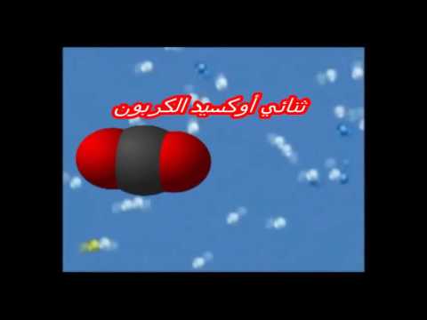 مكونات الهواء - مما يتكون الهواء 5917 5