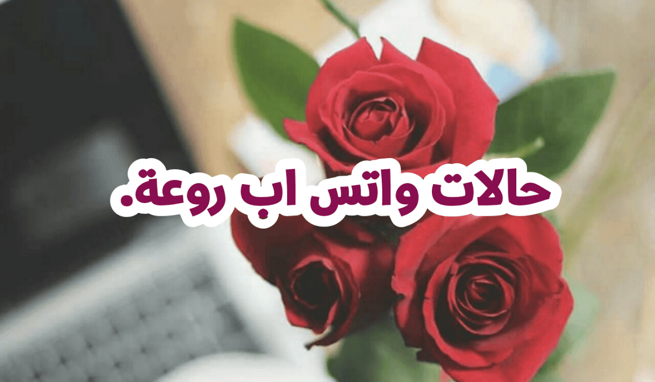 حالات واتس اب روعه , حالات واتس اب ٢٠٢٠