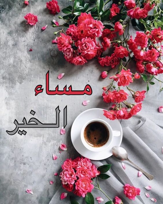 مساء الخير صور - احلى الصور المعبره عن المساء 3534 9