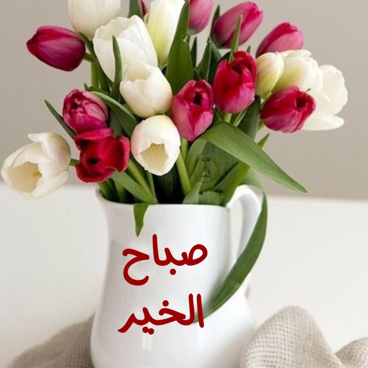 صور صباح للحبيب- صباح الخير حبيبتي 5915 10