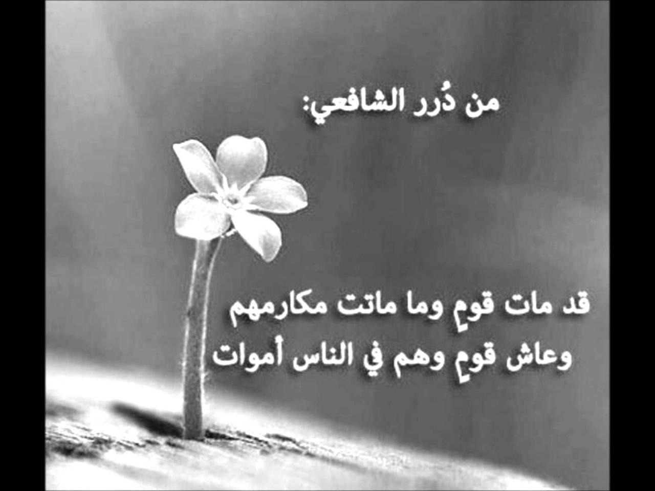 شعر عن الحياة - لكل محبين الحياة وصف روعة 5979 11