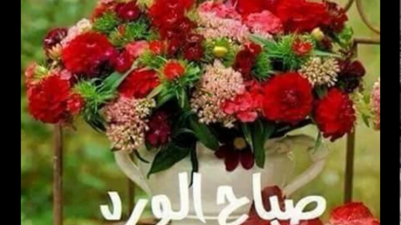 صور صباح للحبيب- صباح الخير حبيبتي 5915 3