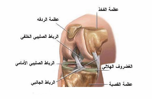 عملية الرباط الصليبي - مخاطر الرباط الصليبي وخطوات العملية الجراحية Arabic Knee نسخ