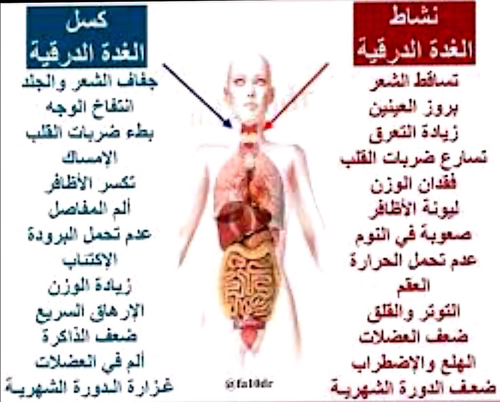 اعراض نشاط الغدة الدرقية