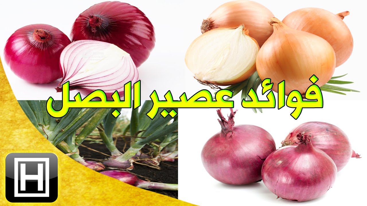 فوائد البصل، فوائده كثيرة ورائعة 6099