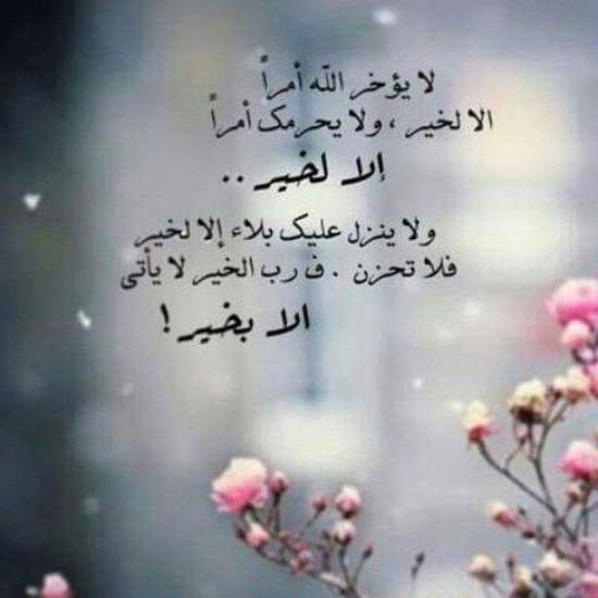 صباح الورد للورد - صور صباح الفل 576 7