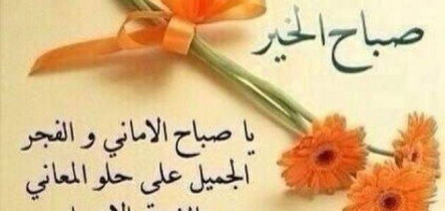 شعر صباح الخير حبيبي - اجمل شعر صباح الخير حبيبى 3757 9