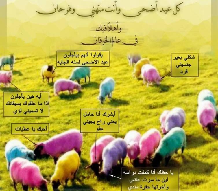 صور عن عيد الاضحى - لقطات من يوم النحر 3138 3