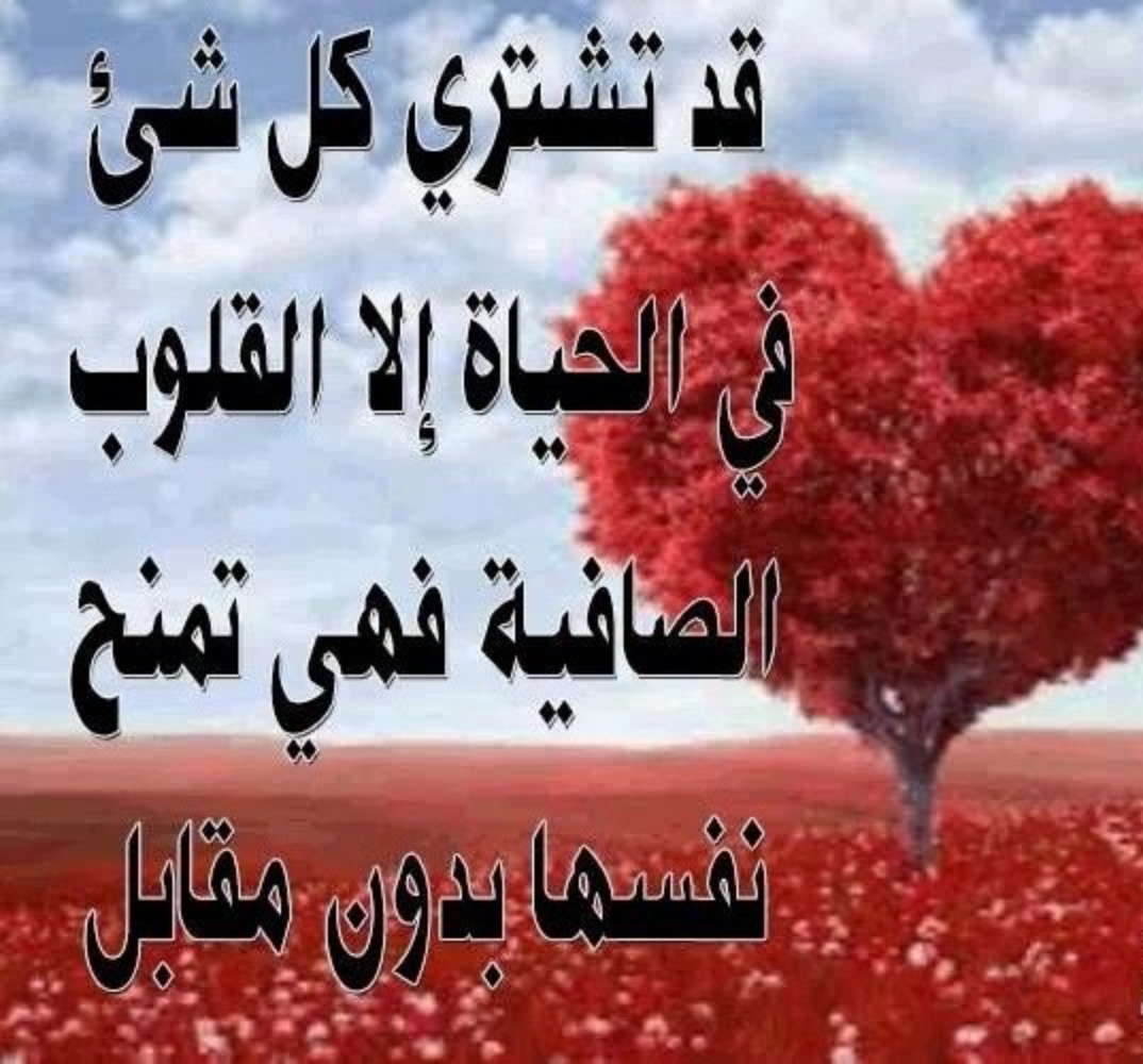 مسجات رومانسية، اروع كلمات حب 6107 7