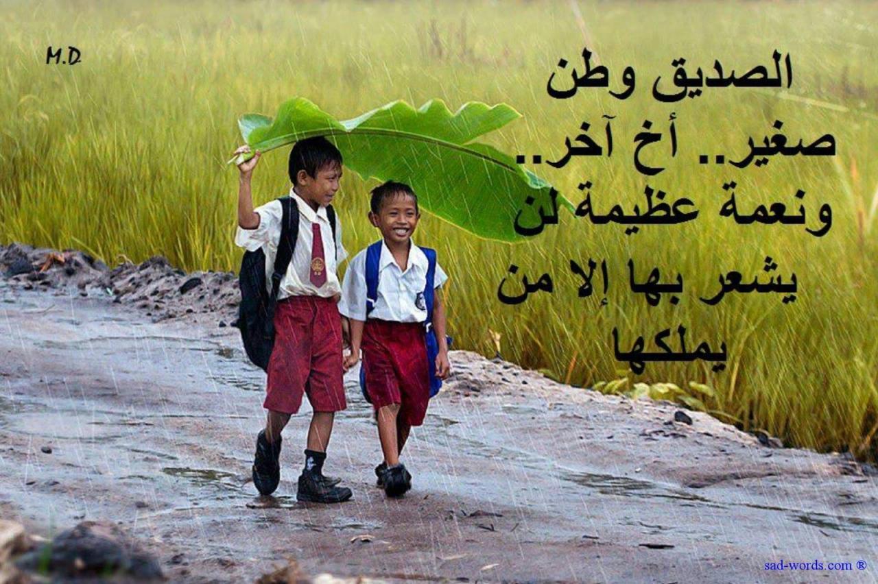 صور عن الصديق 1526 9