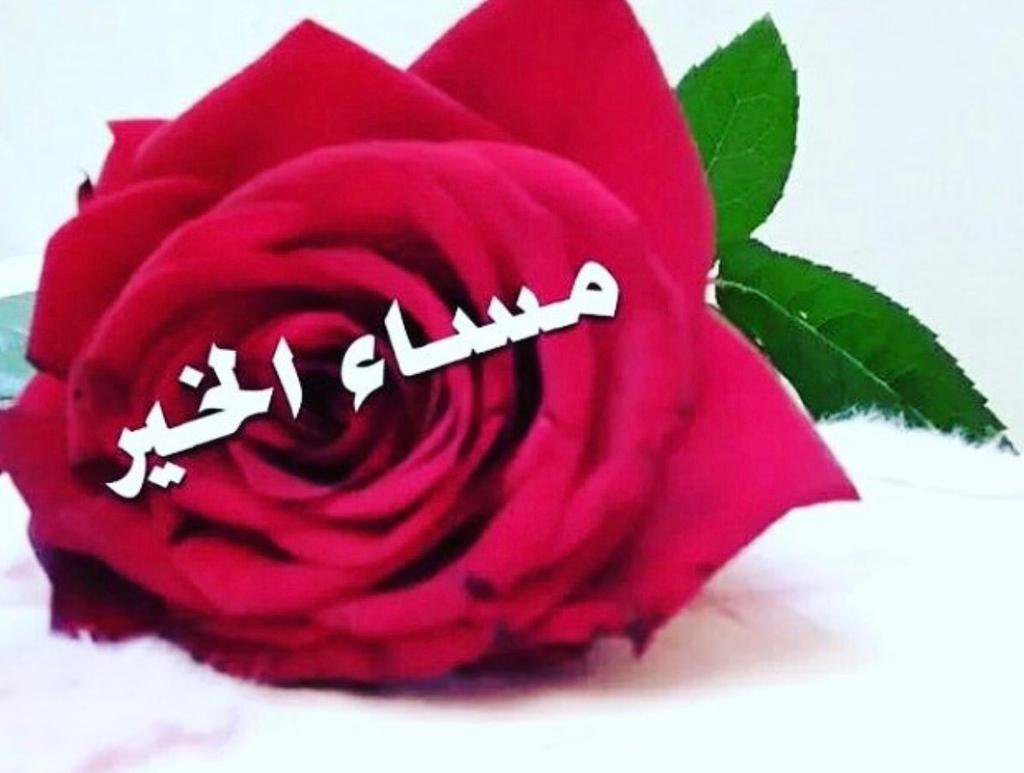 عاوز مساء مميز هقلك تعمل ايه، صور مساء الخير 5363 11