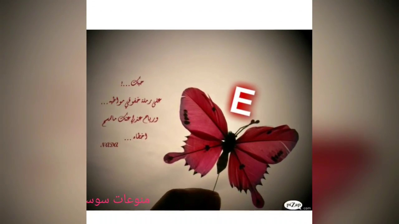 صور حرف E - اشكال وصور متنوعة لحرف E 1164