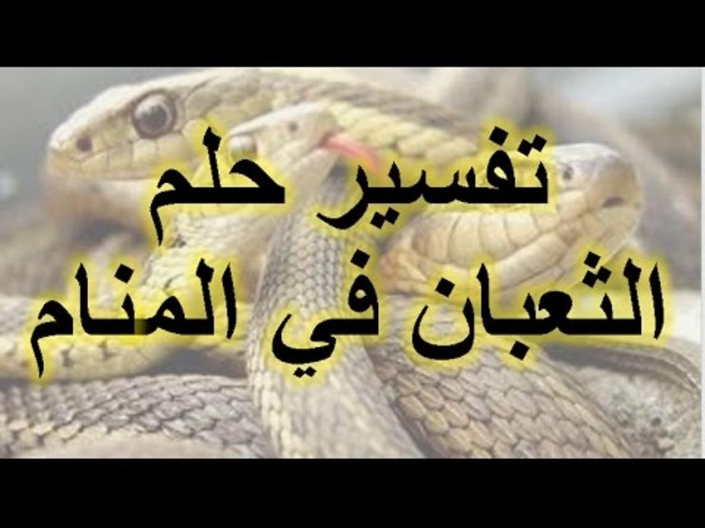 تفسير حلم الثعبان، الثعبان واحلام يهم الكثير 5399 1