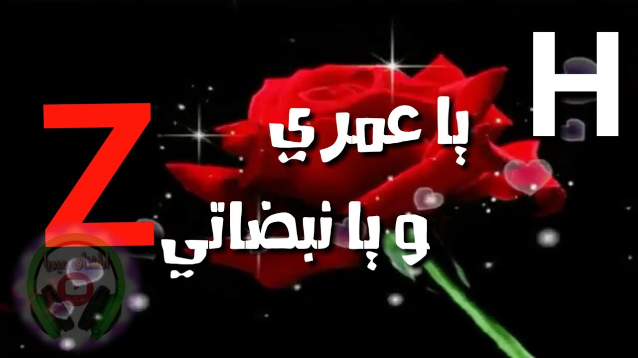 صور حرف Z- صور جمية جدا 6446 15