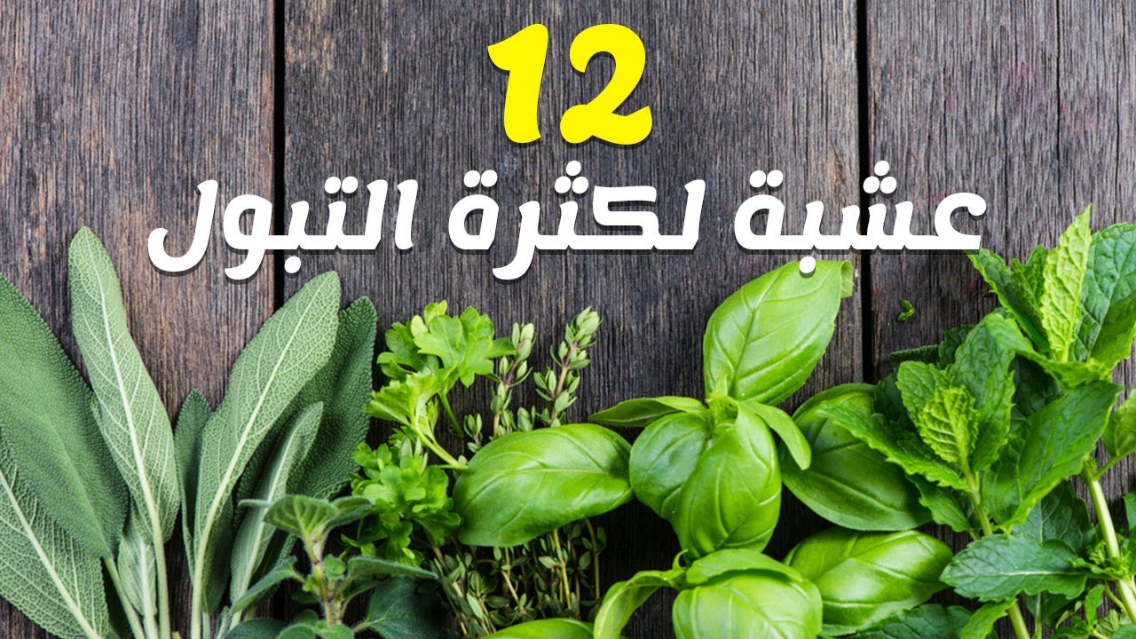 علاج كثرة التبول بالاعشاب - وصفات طبيعية لعلاج التبول بكثرة 1740 3