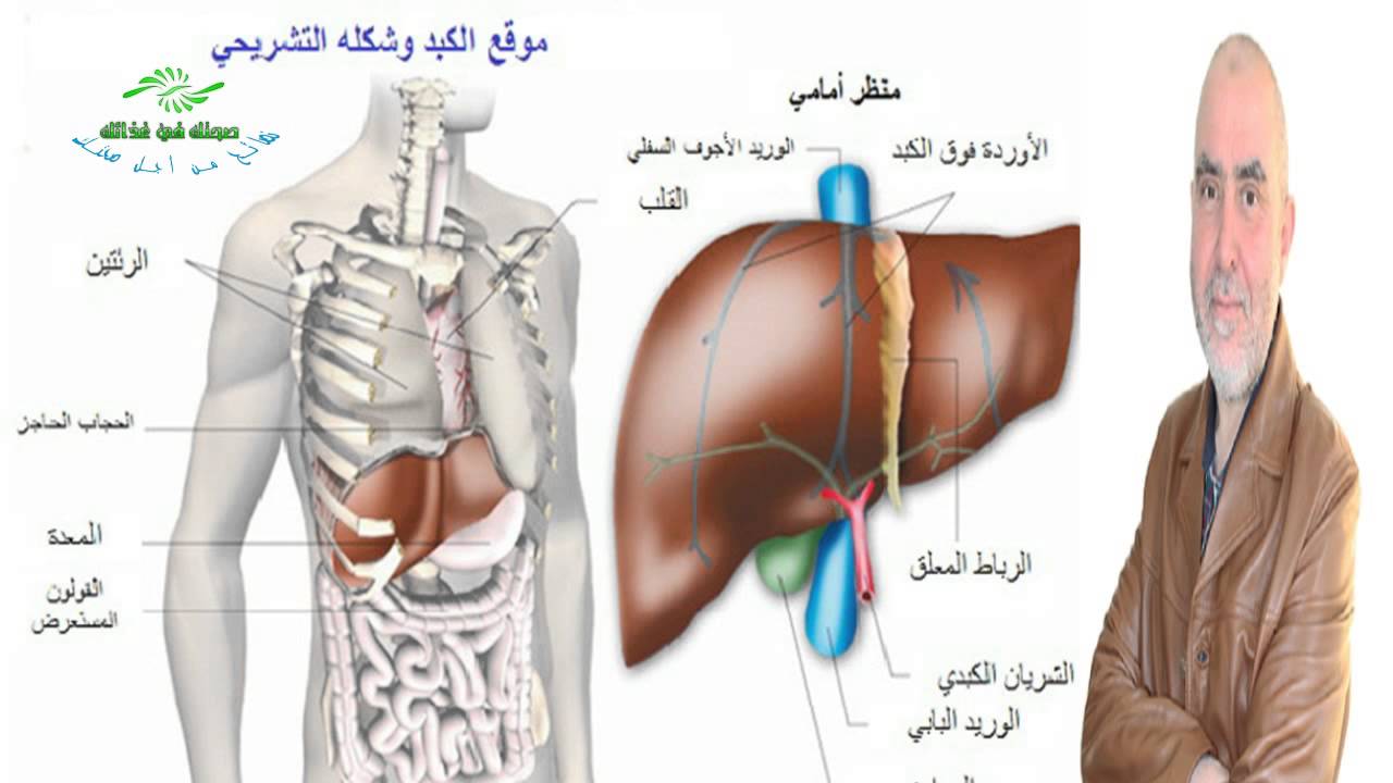 اعراض مرض الكبد - اعراض تعب الكبد والمرارة 755