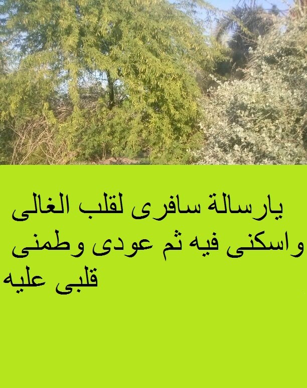 رسايل غرام , رسائل حب العشاق