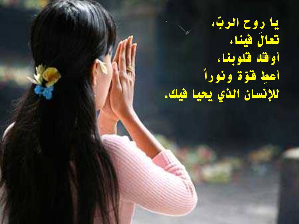 شعر عتاب صديق - كلمات لصديقى لمعاتبته بالشعر 6717 10