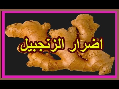 مضار الزنجبيل - مصادر الحصول على الزنجبيل 256