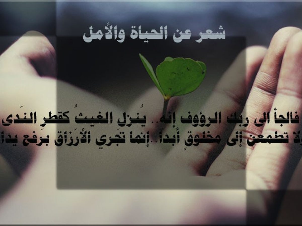 شعر عن الدنيا - من الكمات الكثيرة عنها 6312 7