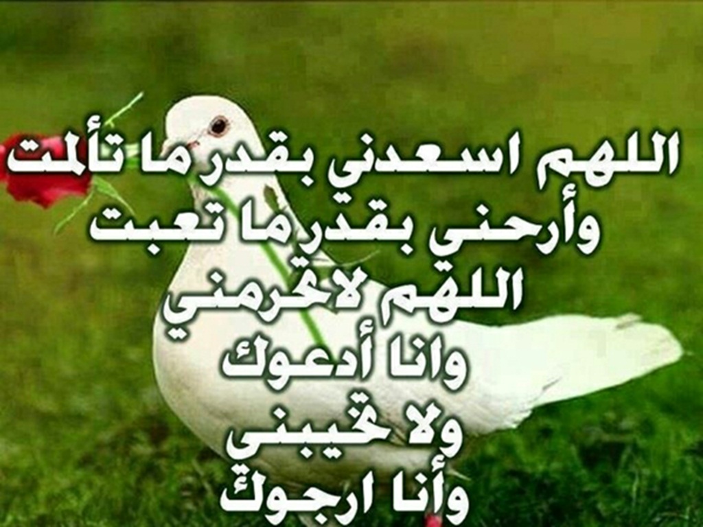 تحميل ادعية , ادعيه يمكن ان تدعو بها يوميا