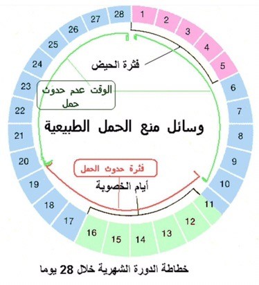 متى تكون ايام التبويض - كيفية حساب ايام التبويض 4997 4