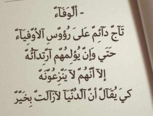 شعر عن الوفه 12110 7