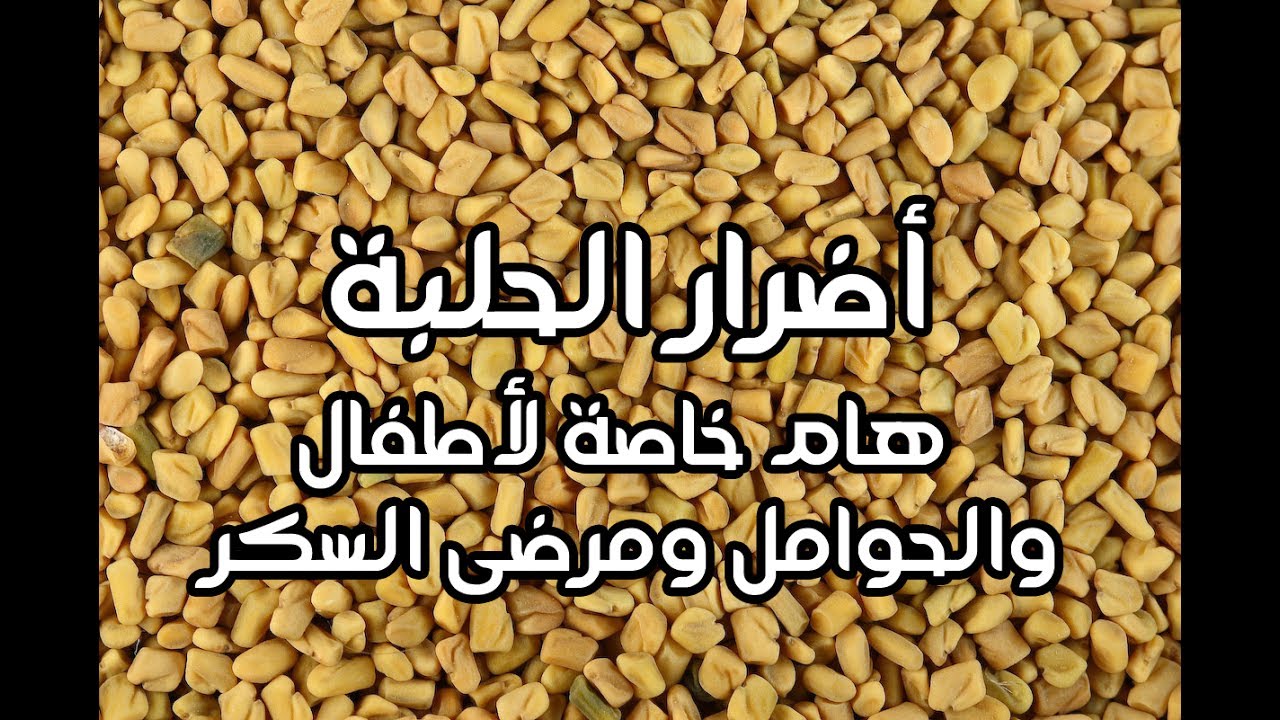 اضرار الحلبة , مفيدة ولكن لها اضرار