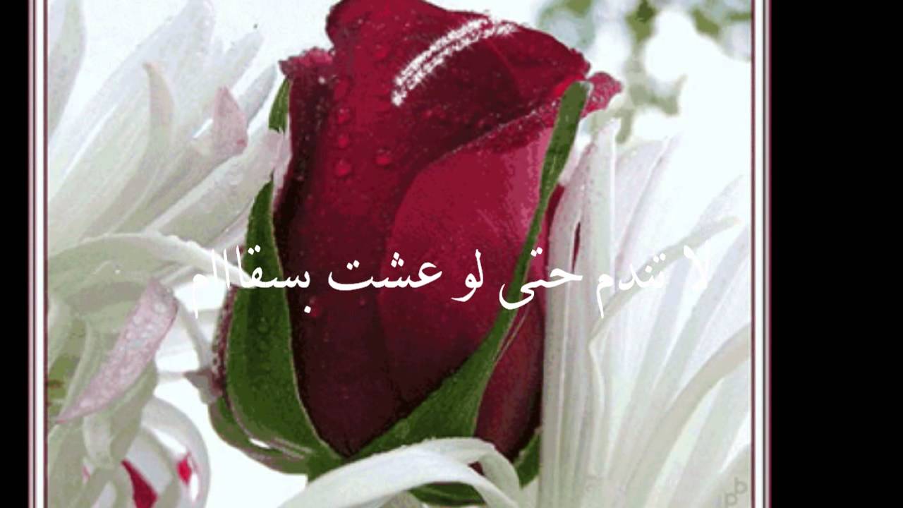 عبارات للزوج - كلمات للزوج تجعله يعشقك 6584 5