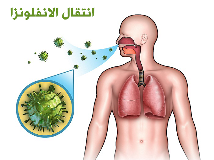 ما هي الانفلونزا 13031