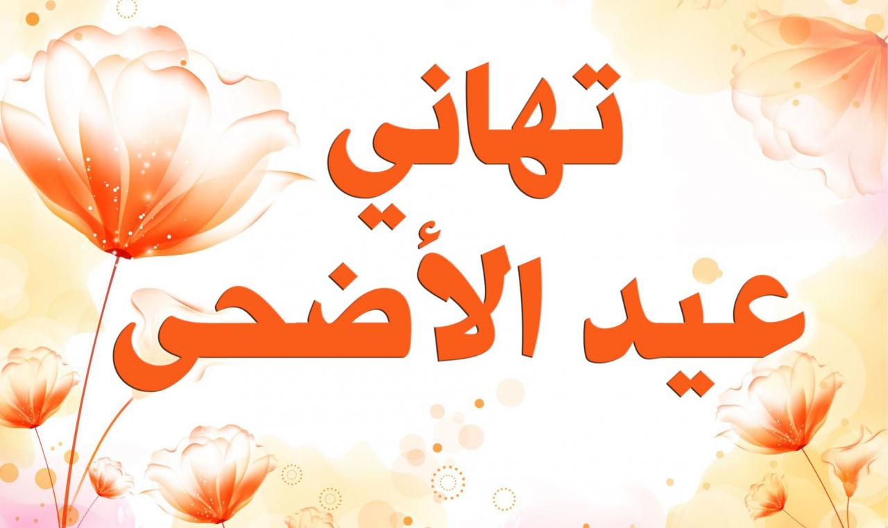 صور تهاني بلعيد , أجمل هدية للعيد