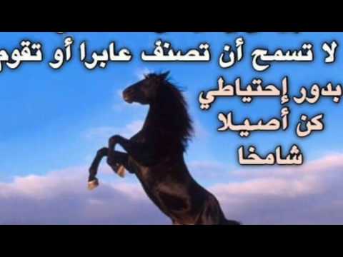 شعر شعبي - امثال شعبية جميلة 1710 11