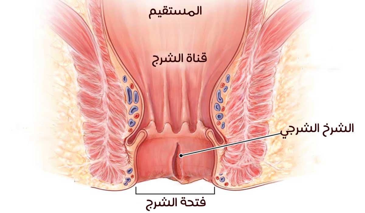 علاج الشرخ بالعسل