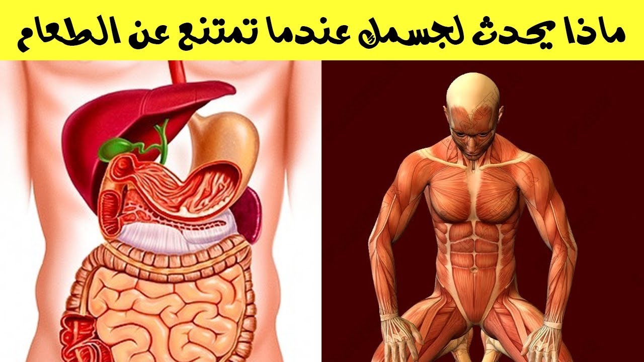 فوائد الصيام , له الكثير من الفوائد