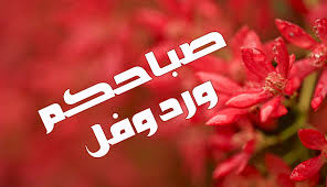 صباح الورد للورد - صور صباح الفل 576 8