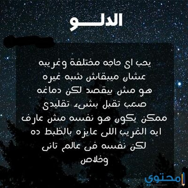 عايزه تتعرفي علي خطيبك اكتر ومميزاته وعيوبه - عيوب رجل الدلو 12218 1