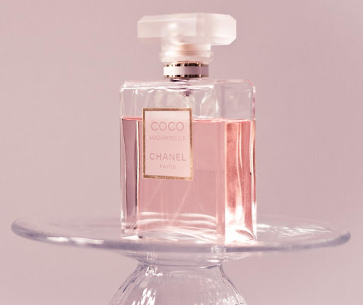 عطور باريس غاليري 6519 8