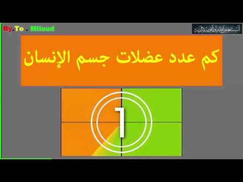 كم عدد عضلات جسم الانسان - تعرف على عددهم 0