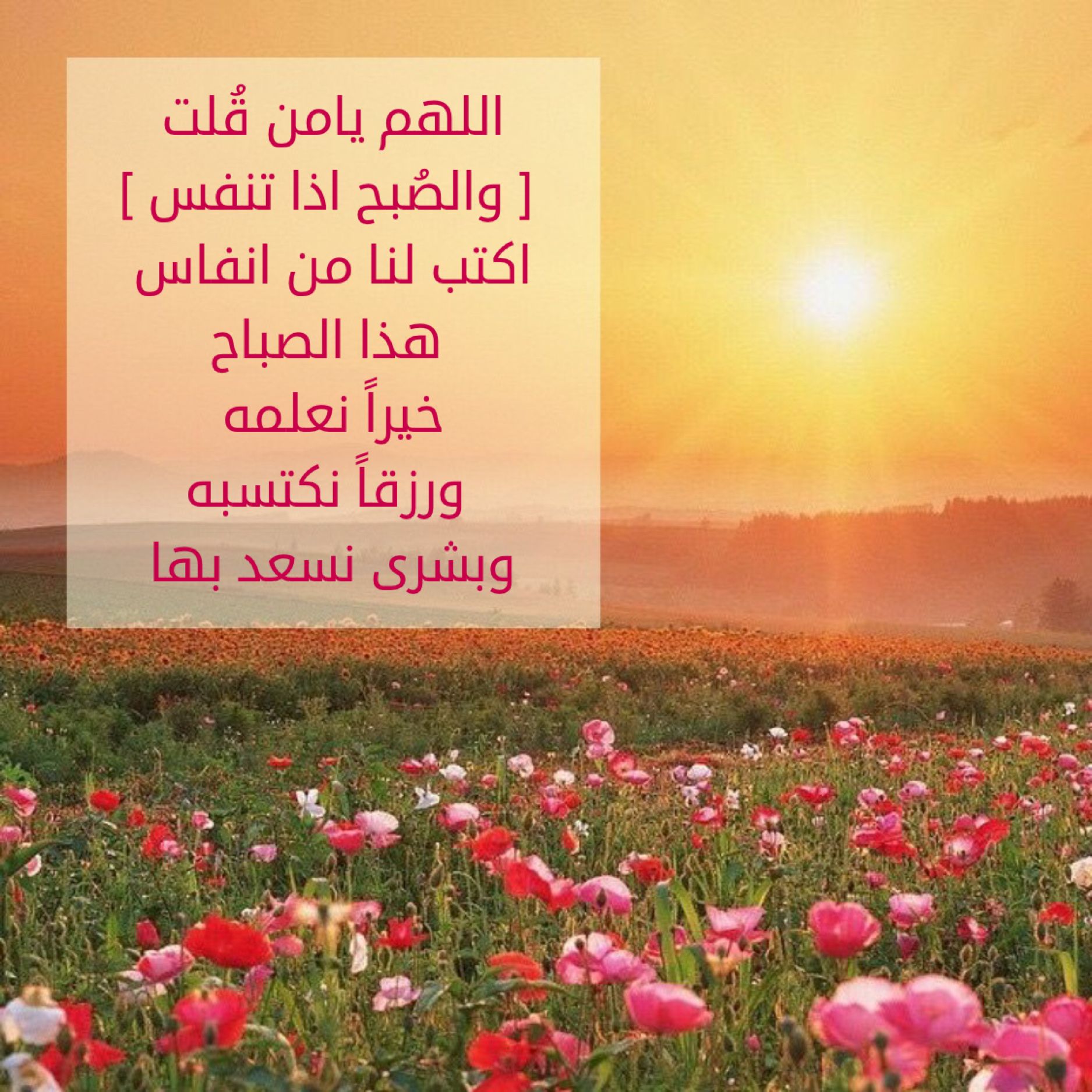 رسائل صباحية دينية - احلى صباح بالرسائل الدينيه 4464 2