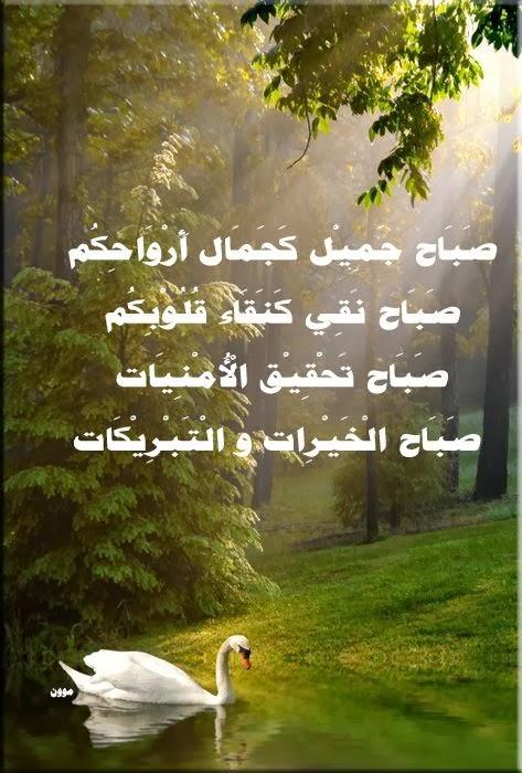 رسائل صباح الخير - صور اجمل الرسائل الصباحيه 3865