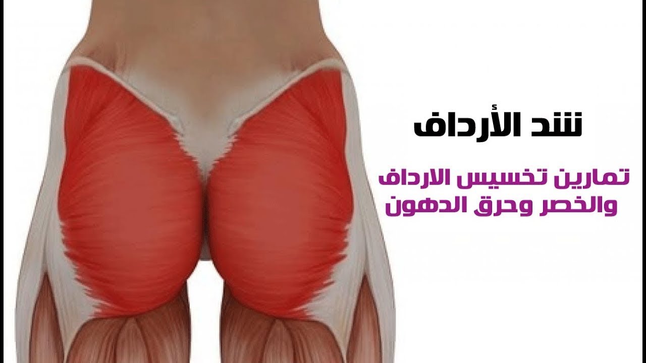 تنحيف المؤخرة 6589 7