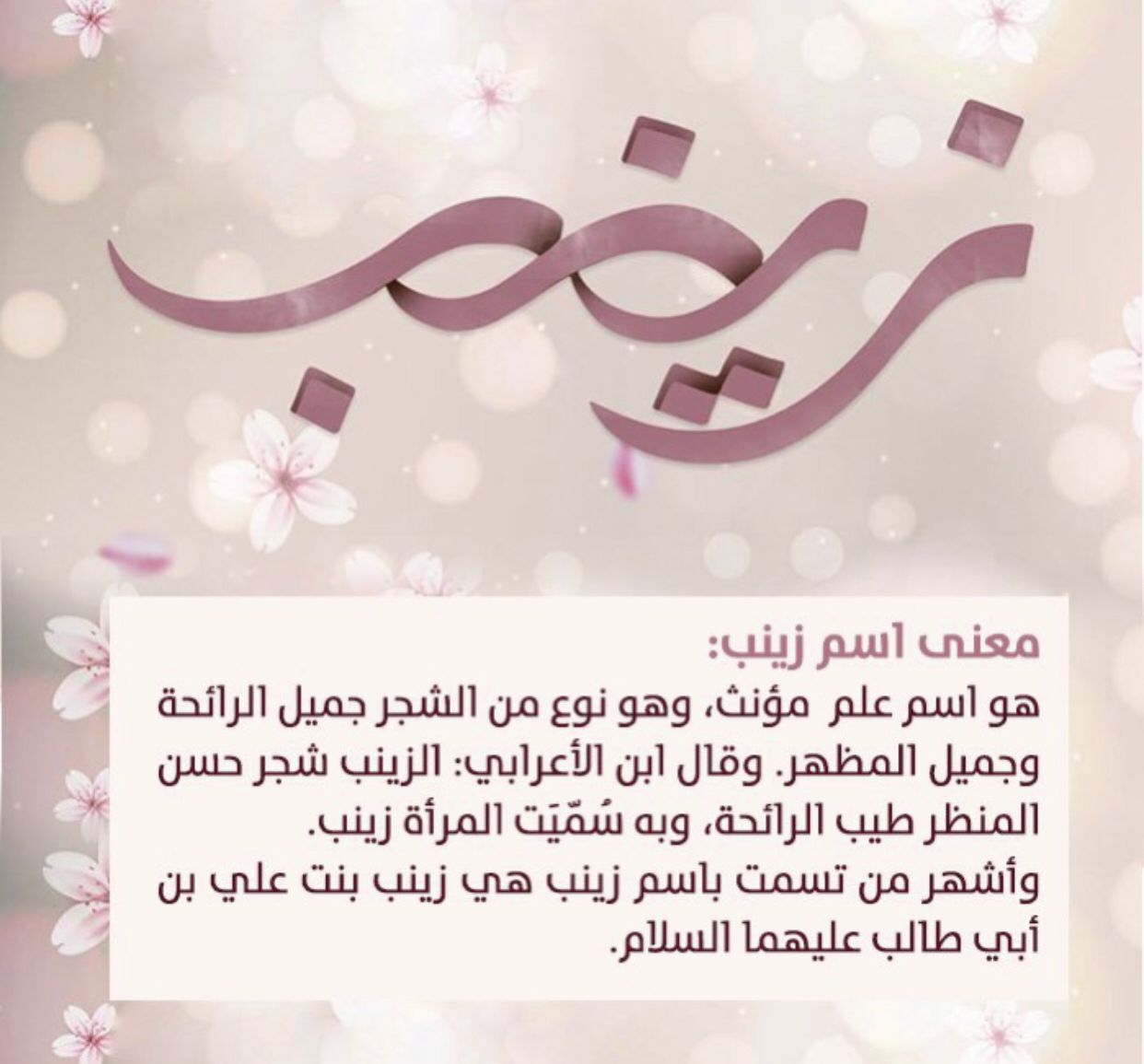 معنى زينب 2132 12