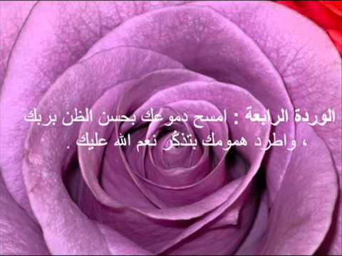 حكم عن الورد - اروع العبارات التي قيلت عن الورد 4860 1