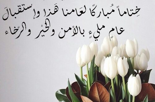 صور عن السنه الجديده - احدث الصور الجديدة 2911 5