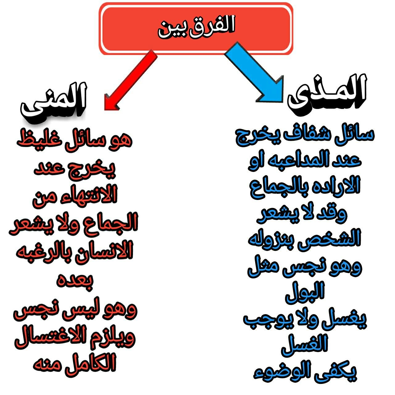 ماهو المذي 1496 1